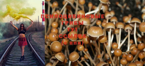 прущая мука Нефтегорск