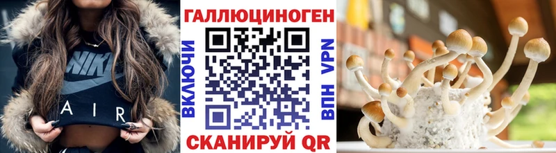 блэк спрут вход  Мытищи  Псилоцибиновые грибы Psilocybe  дарнет шоп 
