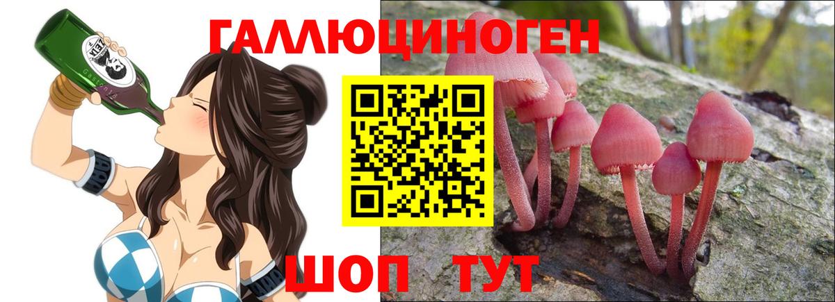 Галлюциногенные грибы мицелий  где можно купить наркотик  Мытищи  Вход с VPN  Галлюциногенные грибы GOLDEN TEACHER 