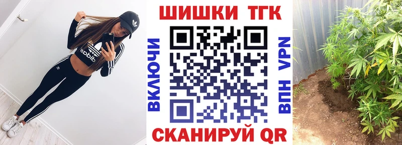 цены Мытищи мега ссылка Канабис OG Kush